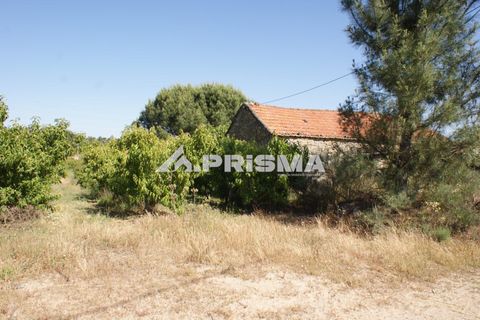 Helårsgrund i Fundao, Castelo Branco, Fundao - € 53.000 | Ref: PP4402 - foto 23