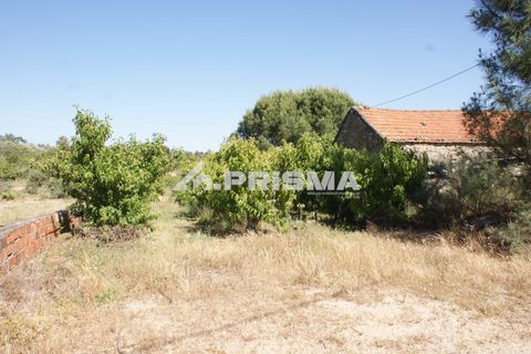 Helårsgrund i Fundao, Castelo Branco, Fundao - € 53.000 | Ref: PP4402 - foto 24