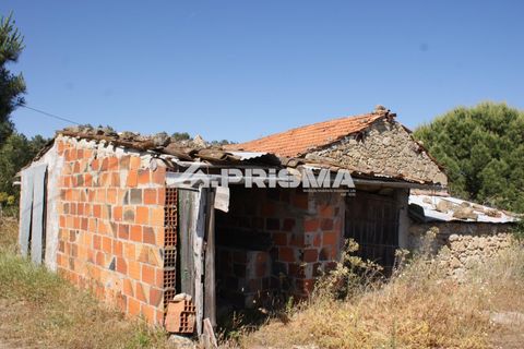 Helårsgrund i Fundao, Castelo Branco, Fundao - € 53.000 | Ref: PP4402 - foto 27