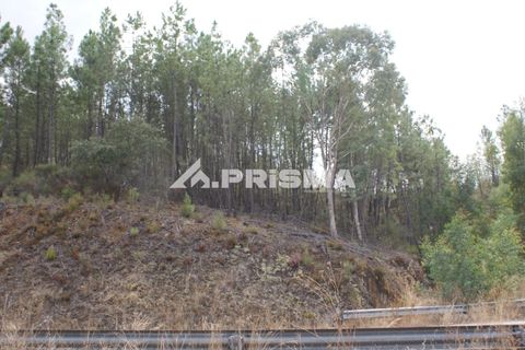 Helårsgrund i Castelo Branco, Castelo Branco, Castelo Branco - € 27.500 | Ref: PP4461 - foto 16