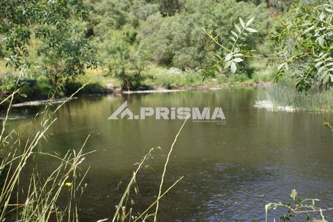 Helårsgrund i Castelo Branco, Castelo Branco, Castelo Branco - € 27.500 | Ref: PP4461 - foto 1