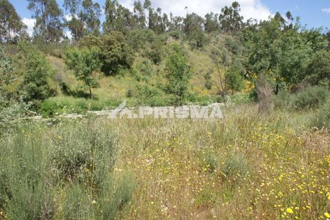Helårsgrund i Castelo Branco, Castelo Branco, Castelo Branco - € 27.500 | Ref: PP4461 - foto 17
