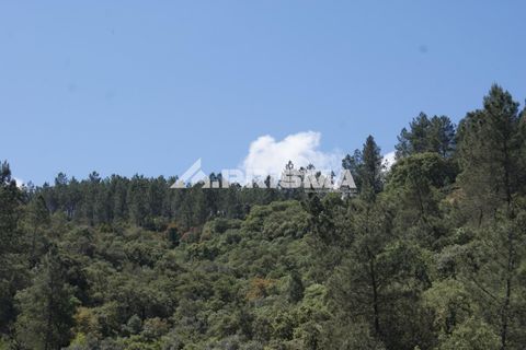 Helårsgrund i Castelo Branco, Castelo Branco, Castelo Branco - € 27.500 | Ref: PP4461 - foto 21