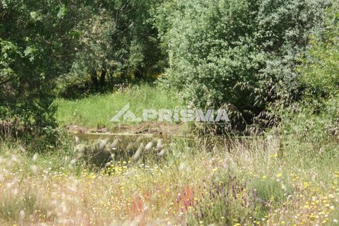 Helårsgrund i Castelo Branco, Castelo Branco, Castelo Branco - € 27.500 | Ref: PP4461 - foto 22