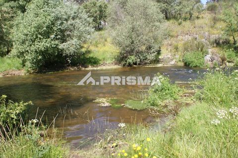 Helårsgrund i Castelo Branco, Castelo Branco, Castelo Branco - € 27.500 | Ref: PP4461 - foto 23