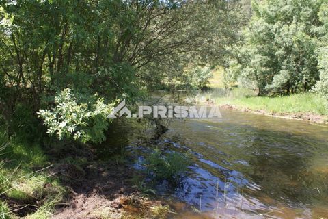 Helårsgrund i Castelo Branco, Castelo Branco, Castelo Branco - € 27.500 | Ref: PP4461 - foto 24