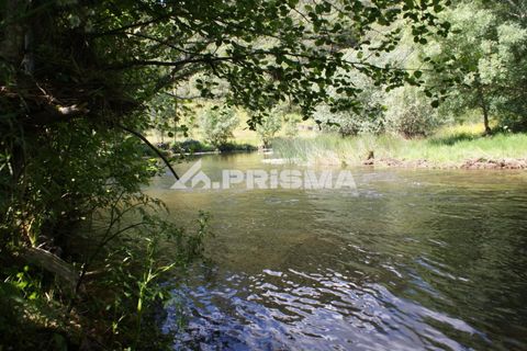 Helårsgrund i Castelo Branco, Castelo Branco, Castelo Branco - € 27.500 | Ref: PP4461 - foto 26