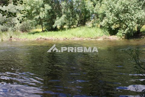 Helårsgrund i Castelo Branco, Castelo Branco, Castelo Branco - € 27.500 | Ref: PP4461 - foto 27