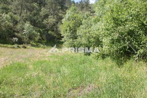 Helårsgrund i Castelo Branco, Castelo Branco, Castelo Branco - € 27.500 | Ref: PP4461 - foto 29