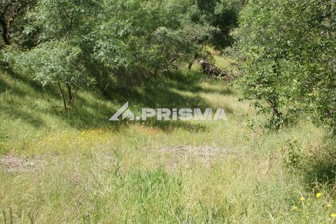 Helårsgrund i Castelo Branco, Castelo Branco, Castelo Branco - € 27.500 | Ref: PP4461 - foto 32