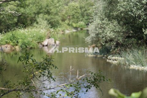 Helårsgrund i Castelo Branco, Castelo Branco, Castelo Branco - € 27.500 | Ref: PP4461 - foto 33