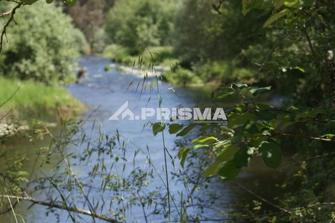 Helårsgrund i Castelo Branco, Castelo Branco, Castelo Branco - € 27.500 | Ref: PP4461 - foto 34