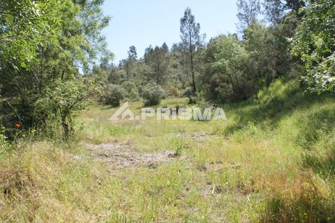 Helårsgrund i Castelo Branco, Castelo Branco, Castelo Branco - € 27.500 | Ref: PP4461 - foto 35