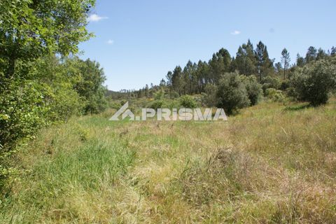 Helårsgrund i Castelo Branco, Castelo Branco, Castelo Branco - € 27.500 | Ref: PP4461 - foto 36