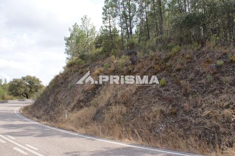 Helårsgrund i Castelo Branco, Castelo Branco, Castelo Branco - € 27.500 | Ref: PP4461 - foto 38