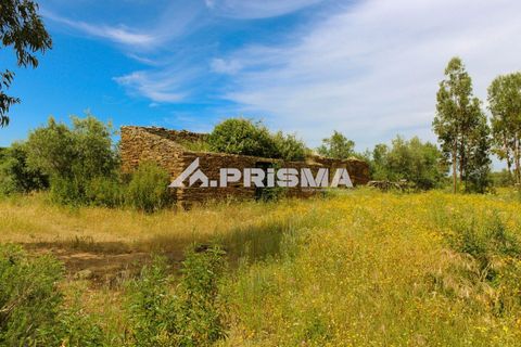 Farm i Castelo Branco, Castelo Branco, Castelo Branco - € 60.000 | Ref: PP4359 - foto 4
