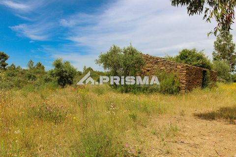 Farm i Castelo Branco, Castelo Branco, Castelo Branco - € 60.000 | Ref: PP4359 - foto 5