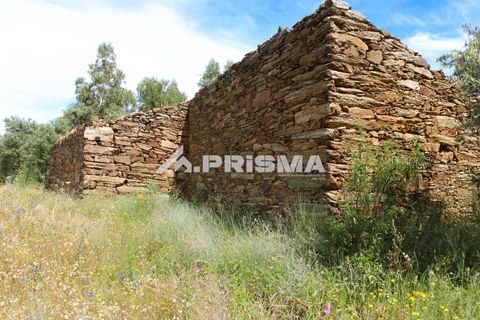 Farm i Castelo Branco, Castelo Branco, Castelo Branco - € 60.000 | Ref: PP4359 - foto 6