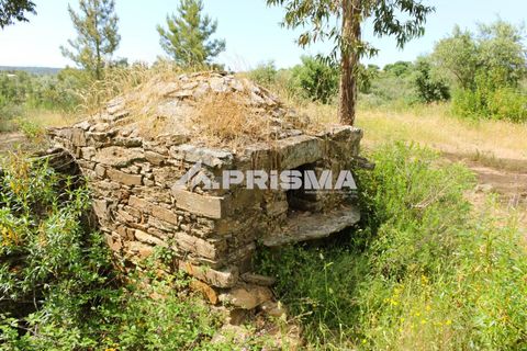 Farm i Castelo Branco, Castelo Branco, Castelo Branco - € 60.000 | Ref: PP4359 - foto 7