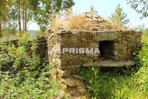 Farm i Castelo Branco, Castelo Branco, Castelo Branco - € 60.000 | Ref: PP4359 - foto 8