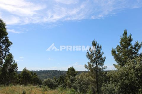 Farm i Castelo Branco, Castelo Branco, Castelo Branco - € 60.000 | Ref: PP4359 - foto 15