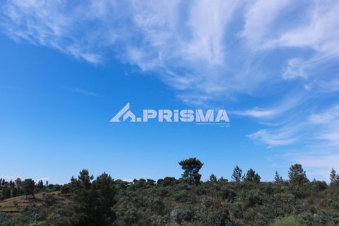 Farm i Castelo Branco, Castelo Branco, Castelo Branco - € 60.000 | Ref: PP4359 - foto 17