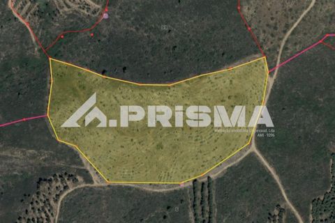Farm i Castelo Branco, Castelo Branco, Castelo Branco - € 60.000 | Ref: PP4359 - foto 18