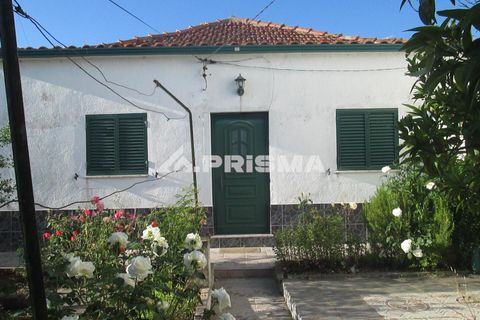Byhus i Idanha-a-Nova, Castelo Branco, Idanha-a-Nova - € 55.000 | Ref: PP4417 - foto 6