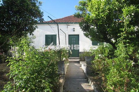 Byhus i Idanha-a-Nova, Castelo Branco, Idanha-a-Nova - € 55.000 | Ref: PP4417 - foto 1