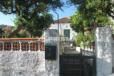 Byhus i Idanha-a-Nova, Castelo Branco, Idanha-a-Nova - € 55.000 | Ref: PP4417 - foto 5
