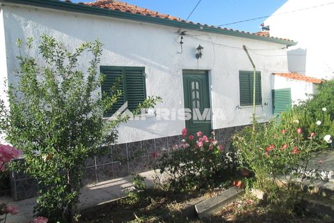 Byhus i Idanha-a-Nova, Castelo Branco, Idanha-a-Nova - € 55.000 | Ref: PP4417 - foto 9