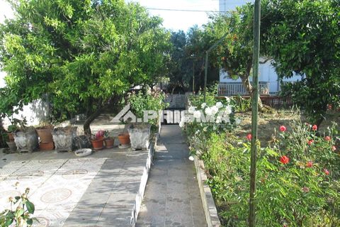 Byhus i Idanha-a-Nova, Castelo Branco, Idanha-a-Nova - € 55.000 | Ref: PP4417 - foto 10