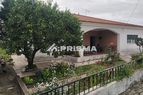 Byhus i Idanha-a-Nova, Castelo Branco, Idanha-a-Nova - € 300.000 | Ref: PP4470 - foto 1