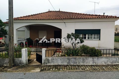 Byhus i Idanha-a-Nova, Castelo Branco, Idanha-a-Nova - € 300.000 | Ref: PP4470 - foto 3