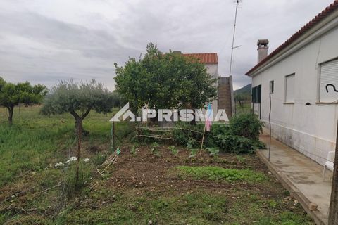 Byhus i Idanha-a-Nova, Castelo Branco, Idanha-a-Nova - € 300.000 | Ref: PP4470 - foto 5