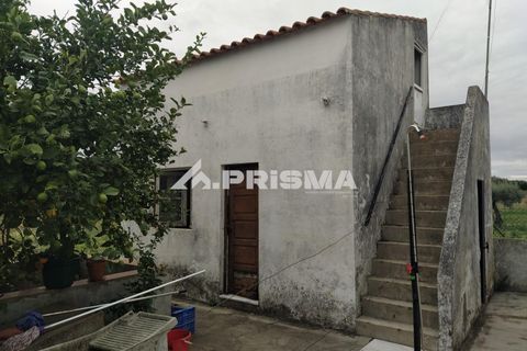 Byhus i Idanha-a-Nova, Castelo Branco, Idanha-a-Nova - € 300.000 | Ref: PP4470 - foto 6