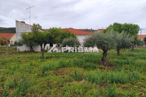Byhus i Idanha-a-Nova, Castelo Branco, Idanha-a-Nova - € 300.000 | Ref: PP4470 - foto 8