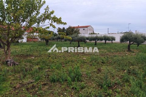 Byhus i Idanha-a-Nova, Castelo Branco, Idanha-a-Nova - € 300.000 | Ref: PP4470 - foto 24