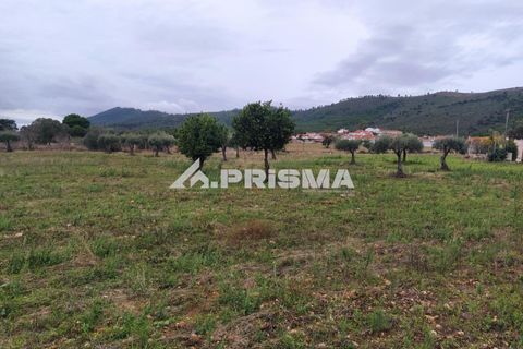 Byhus i Idanha-a-Nova, Castelo Branco, Idanha-a-Nova - € 300.000 | Ref: PP4470 - foto 26
