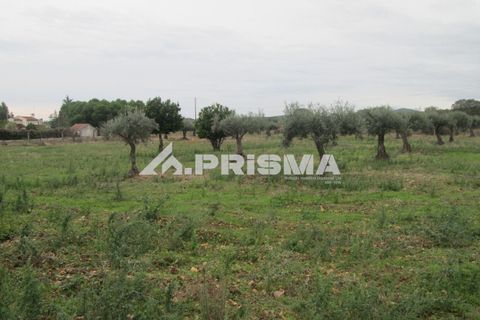 Byhus i Idanha-a-Nova, Castelo Branco, Idanha-a-Nova - € 300.000 | Ref: PP4470 - foto 27