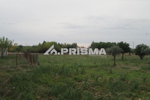Byhus i Idanha-a-Nova, Castelo Branco, Idanha-a-Nova - € 300.000 | Ref: PP4470 - foto 28