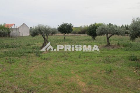 Byhus i Idanha-a-Nova, Castelo Branco, Idanha-a-Nova - € 300.000 | Ref: PP4470 - foto 29