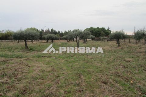 Byhus i Idanha-a-Nova, Castelo Branco, Idanha-a-Nova - € 300.000 | Ref: PP4470 - foto 30