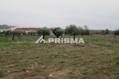Byhus i Idanha-a-Nova, Castelo Branco, Idanha-a-Nova - € 300.000 | Ref: PP4470 - foto 31