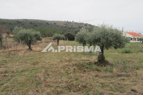 Byhus i Idanha-a-Nova, Castelo Branco, Idanha-a-Nova - € 300.000 | Ref: PP4470 - foto 36