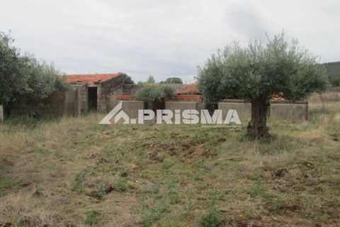 Byhus i Idanha-a-Nova, Castelo Branco, Idanha-a-Nova - € 300.000 | Ref: PP4470 - foto 37