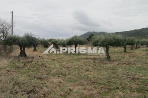 Byhus i Idanha-a-Nova, Castelo Branco, Idanha-a-Nova - € 300.000 | Ref: PP4470 - foto 38
