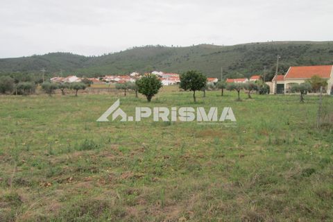 Byhus i Idanha-a-Nova, Castelo Branco, Idanha-a-Nova - € 300.000 | Ref: PP4470 - foto 39