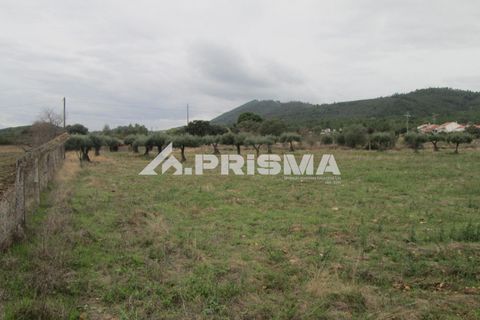 Byhus i Idanha-a-Nova, Castelo Branco, Idanha-a-Nova - € 300.000 | Ref: PP4470 - foto 40