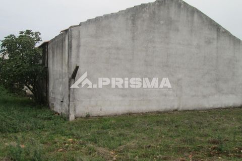 Byhus i Idanha-a-Nova, Castelo Branco, Idanha-a-Nova - € 300.000 | Ref: PP4470 - foto 41